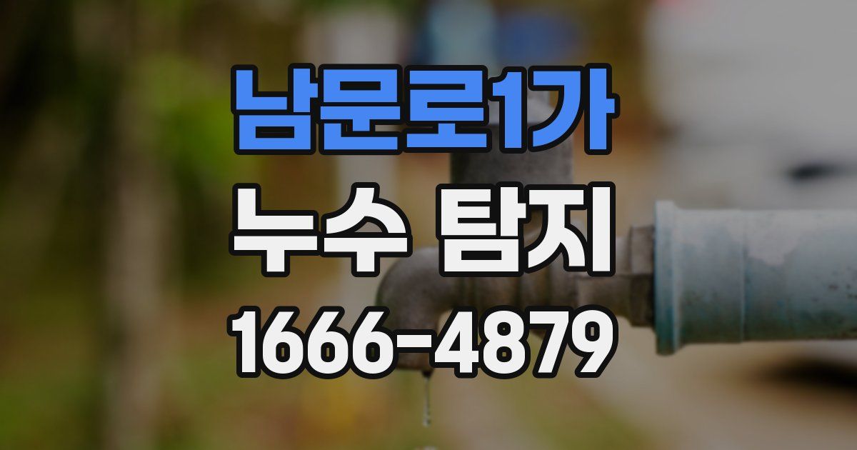 남문로1가 누수 탐지