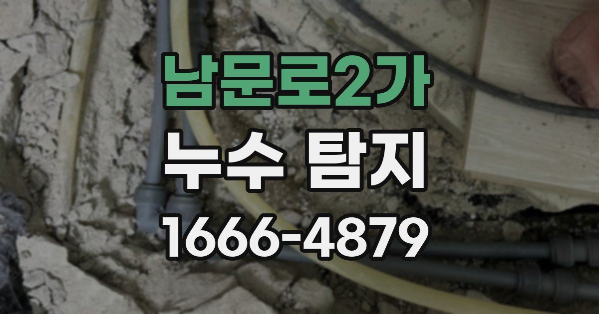 남문로2가 누수 탐지