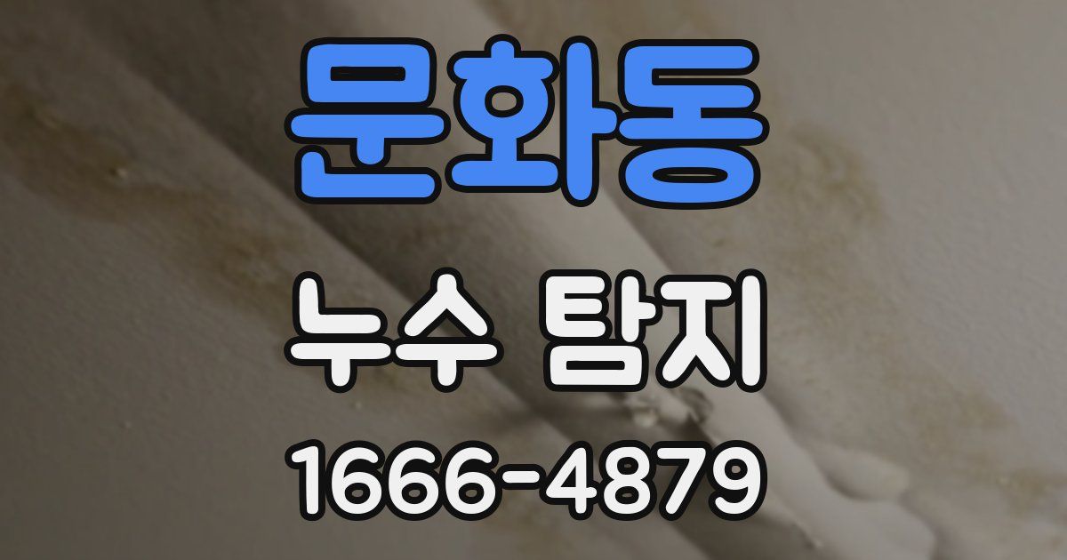 문화동 누수 탐지