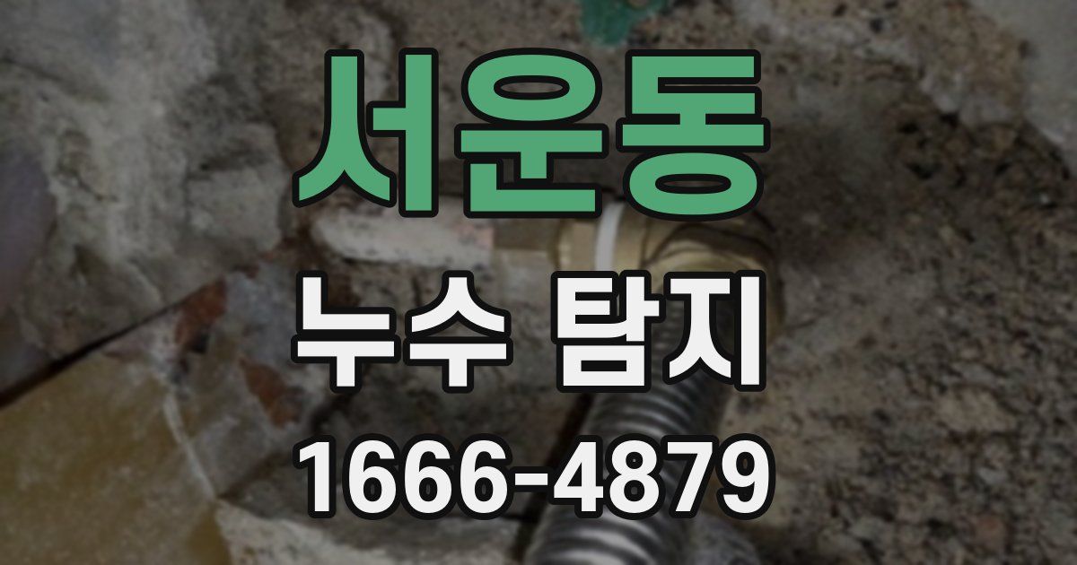 서운동 누수 탐지