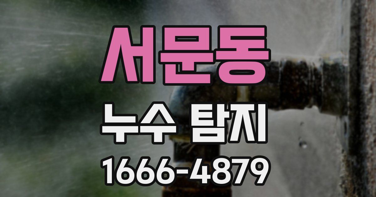 서문동 누수 탐지