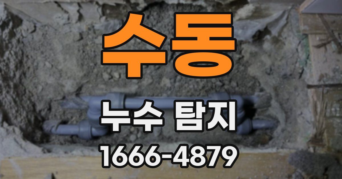 수동 누수 탐지