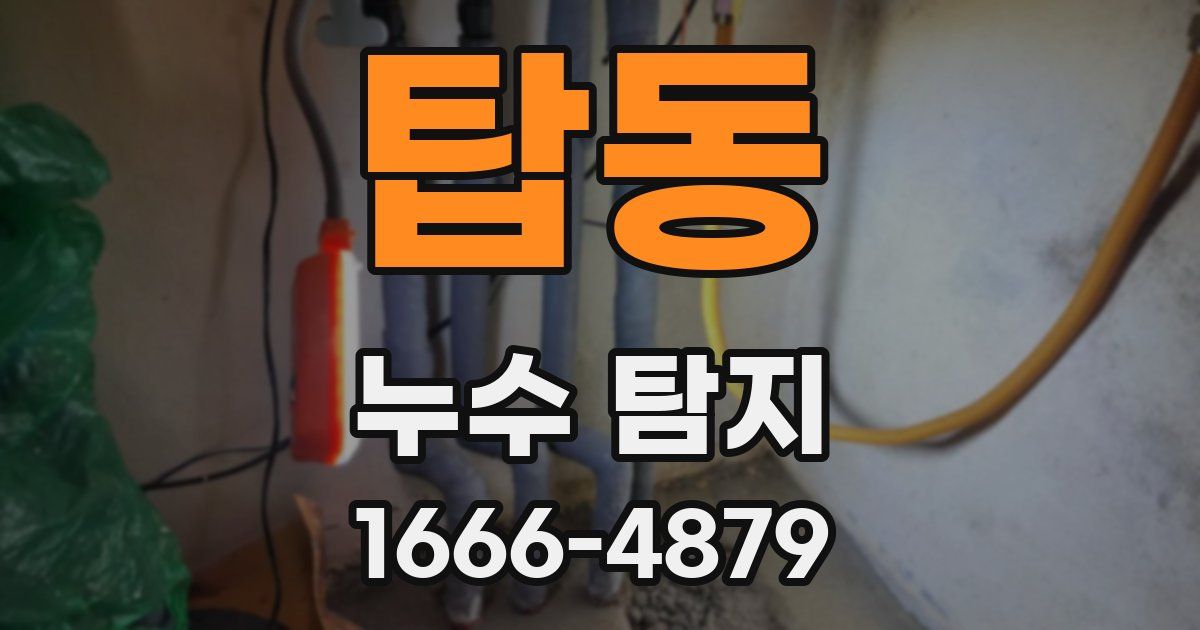 탑동 누수 탐지