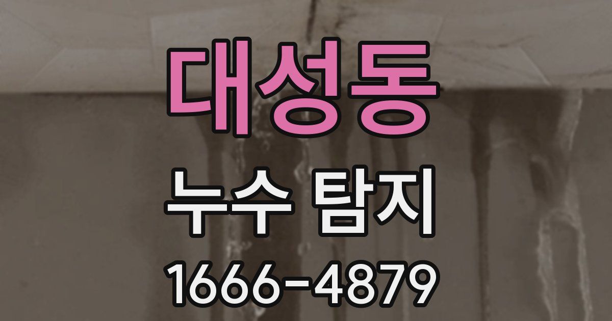대성동 누수 탐지