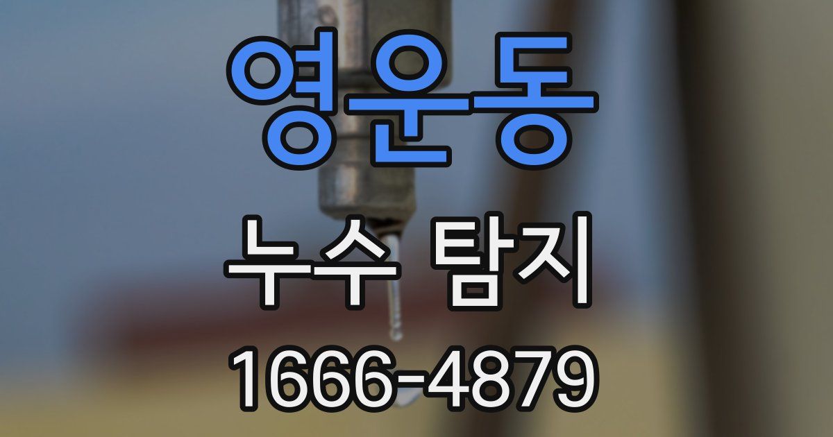 영운동 누수 탐지