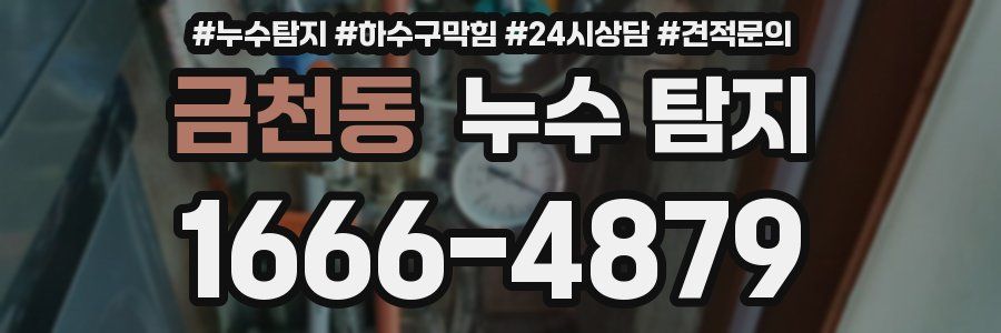 금천동 누수 탐지