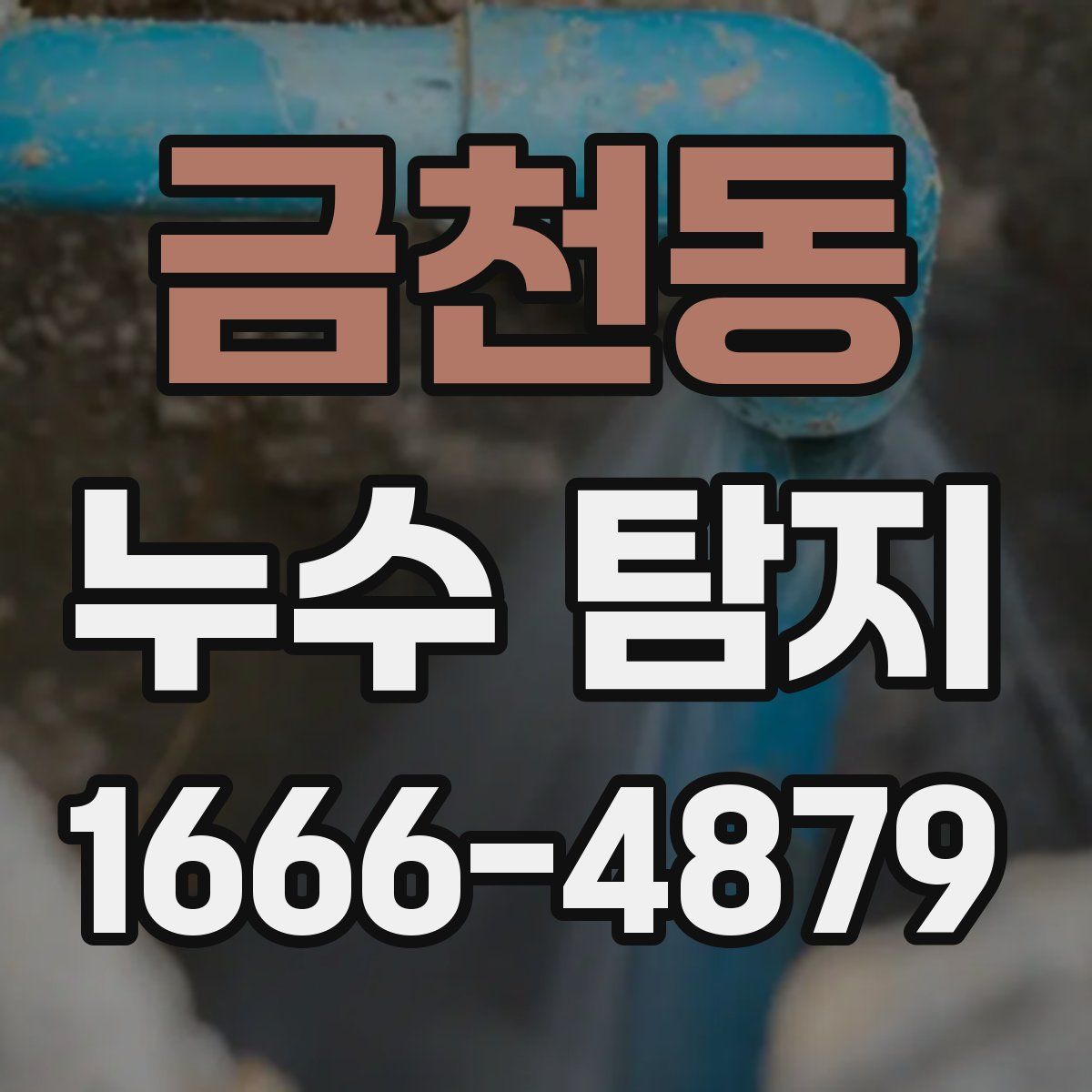 금천동 누수 탐지