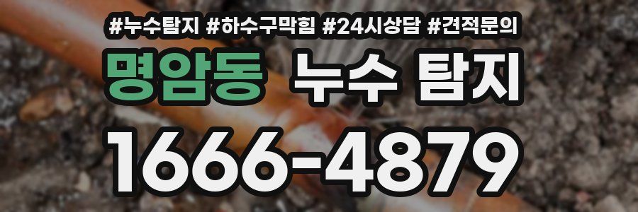명암동 누수 탐지