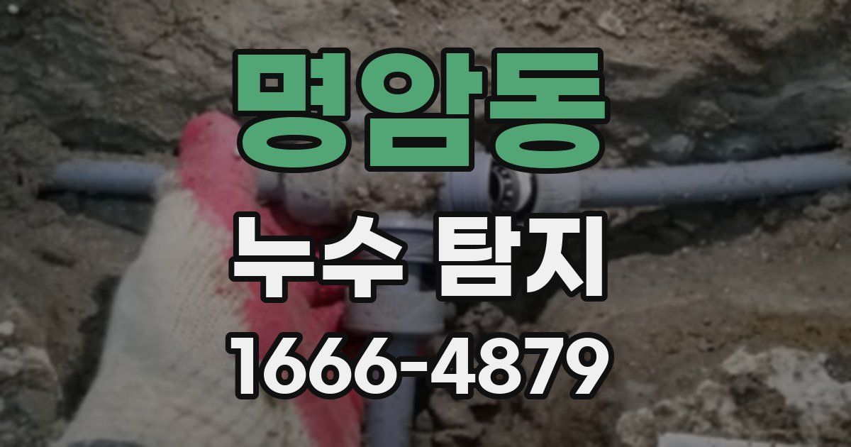 명암동 누수 탐지