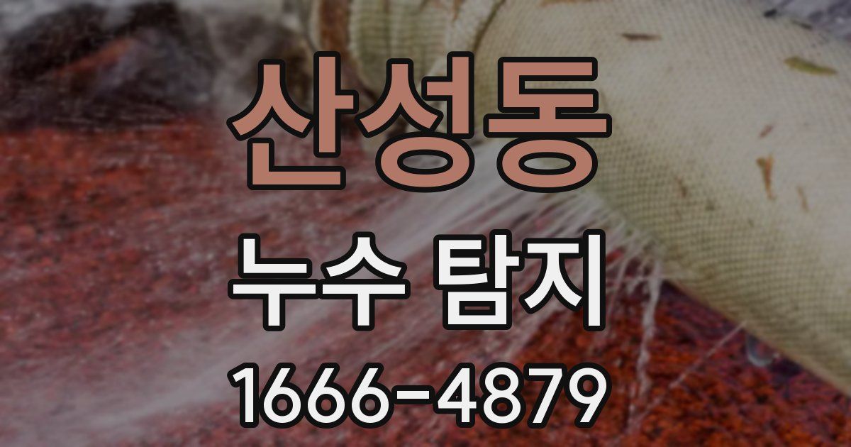 산성동 누수 탐지