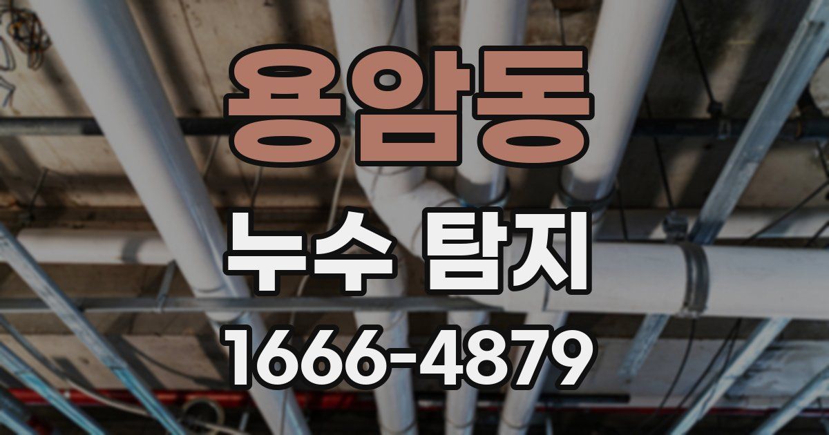 용암동 누수 탐지