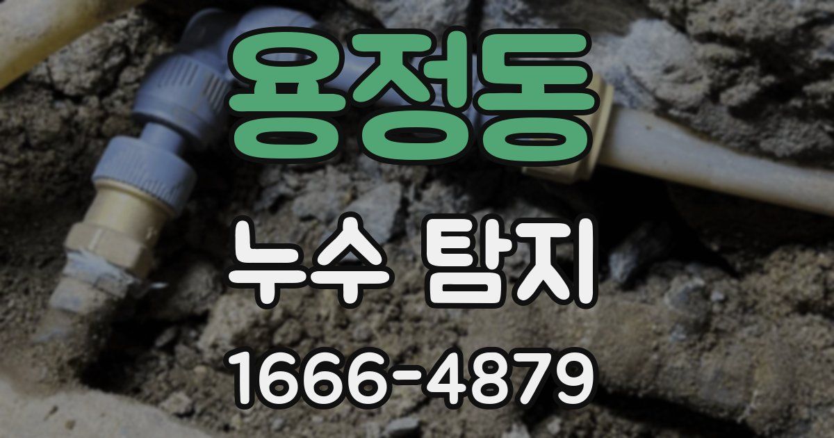 용정동 누수 탐지