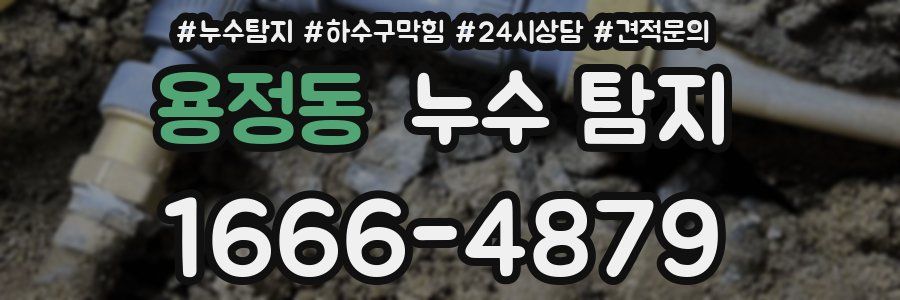 용정동 누수 탐지