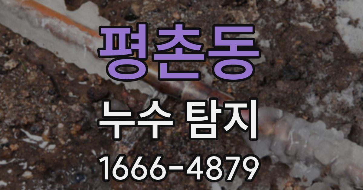 평촌동 누수 탐지