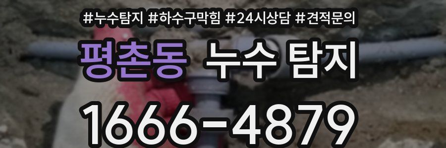 평촌동 누수 탐지