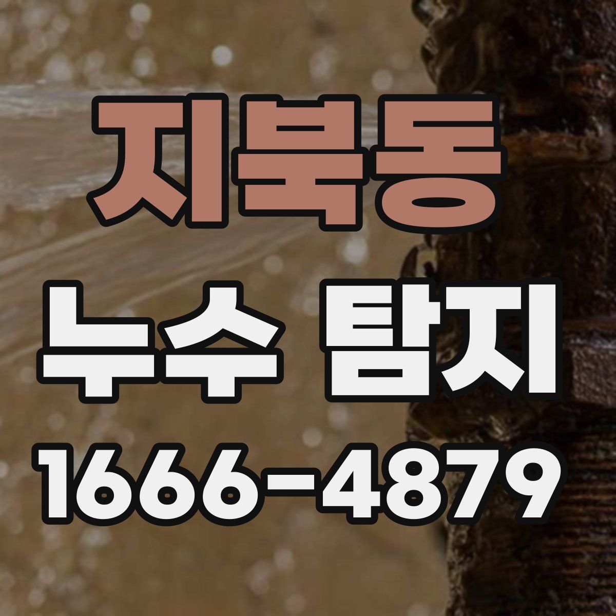 지북동 누수 탐지