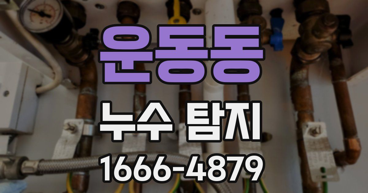 운동동 누수 탐지