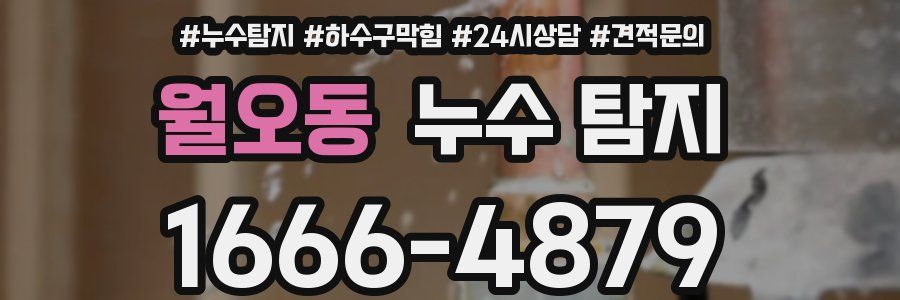 월오동 누수 탐지