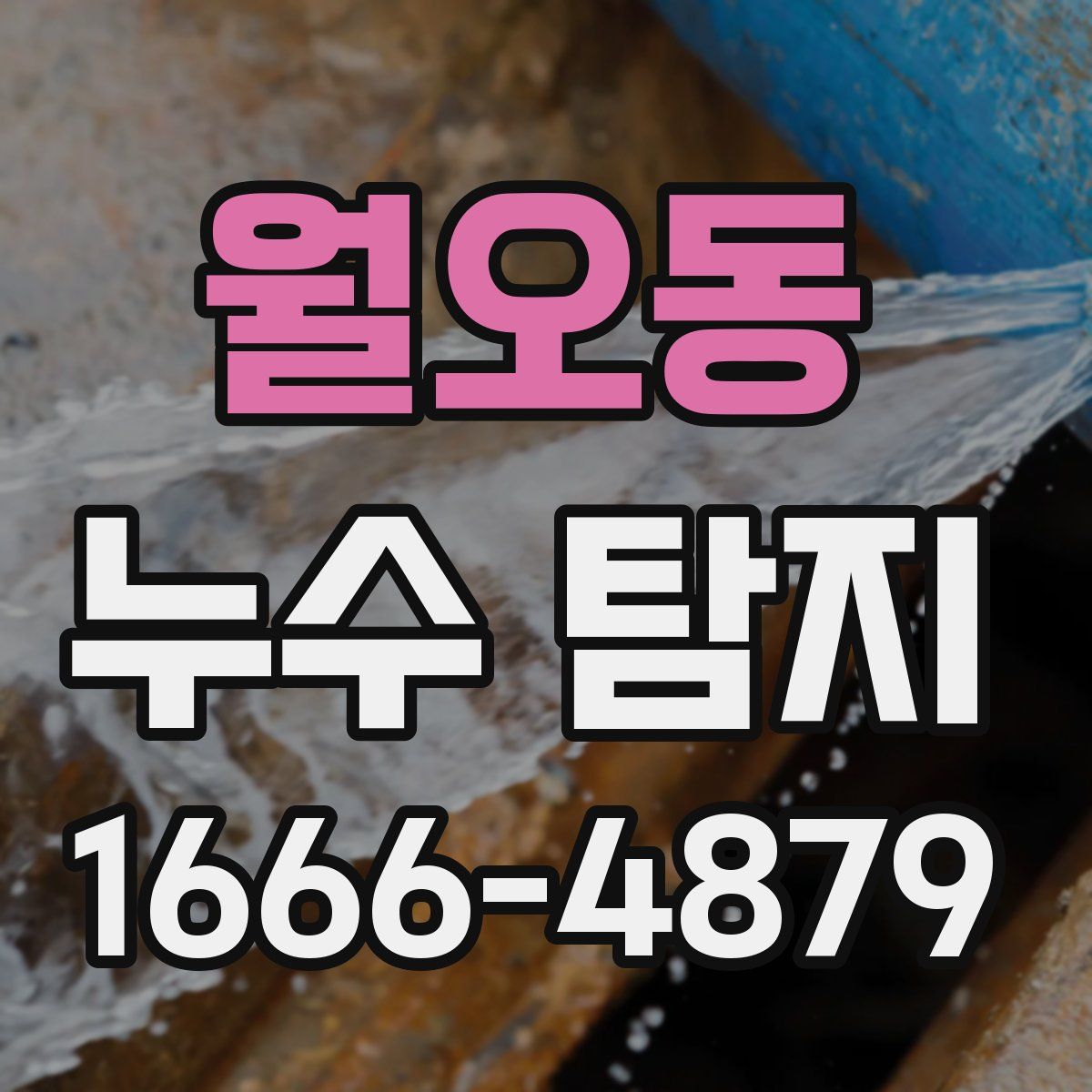 월오동 누수 탐지