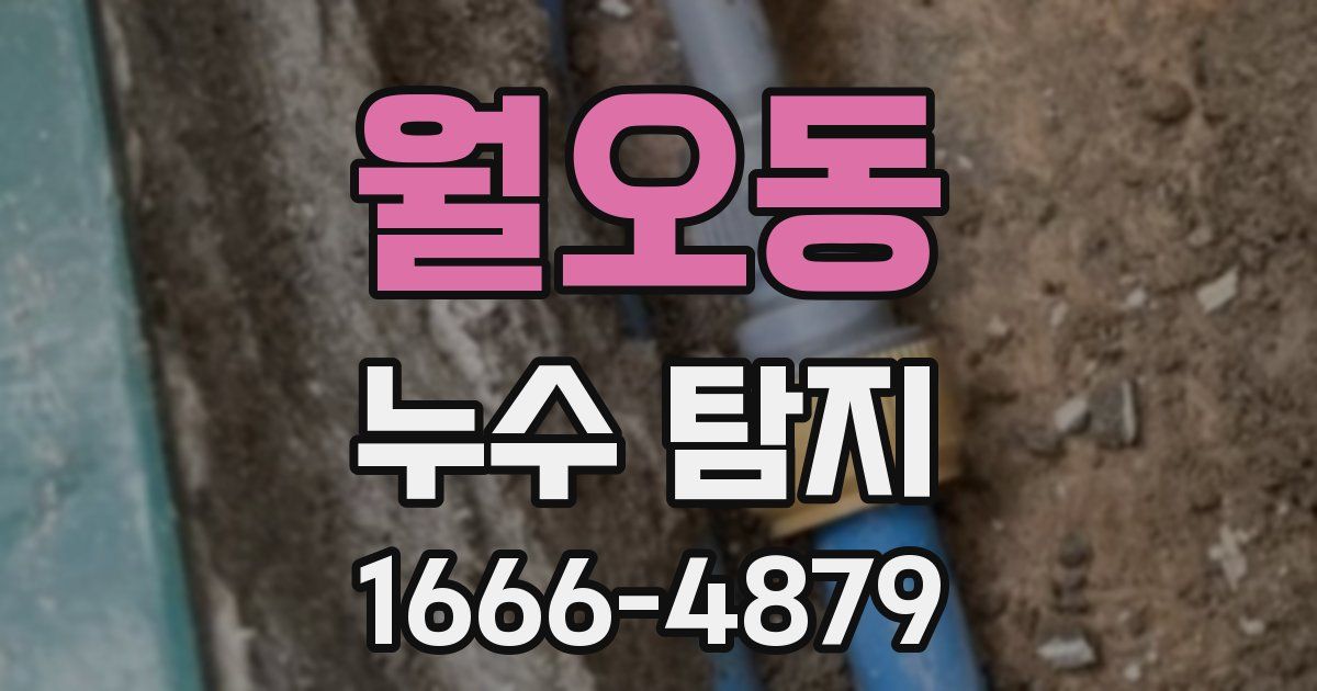 월오동 누수 탐지