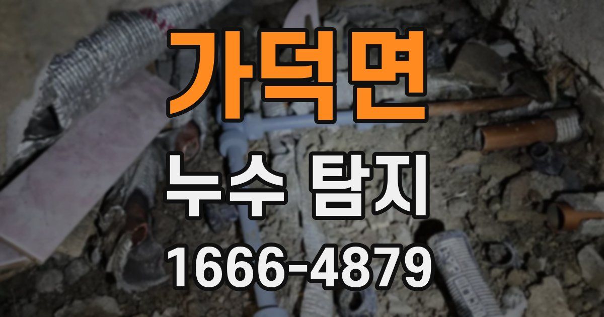 가덕면 누수 탐지
