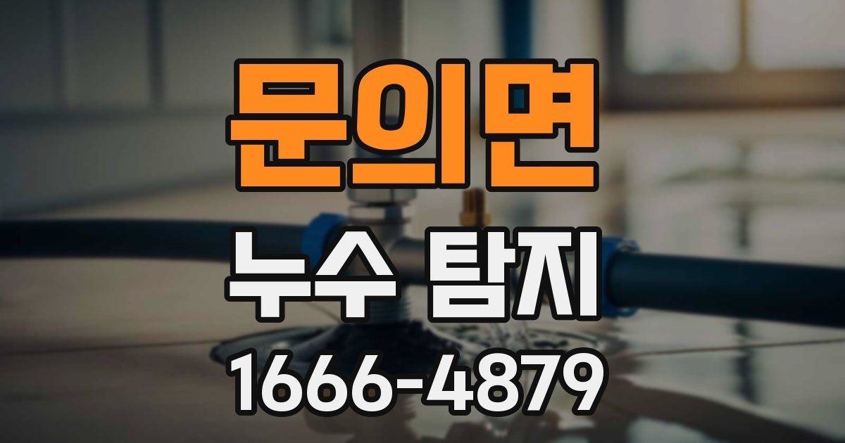 문의면 누수 탐지