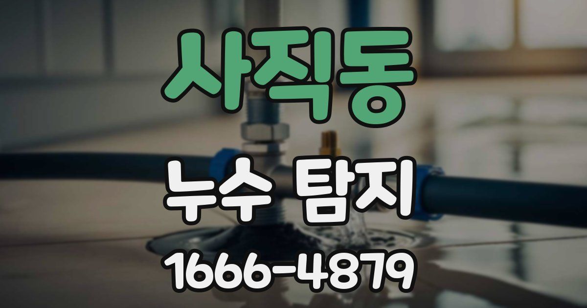 사직동 누수 탐지