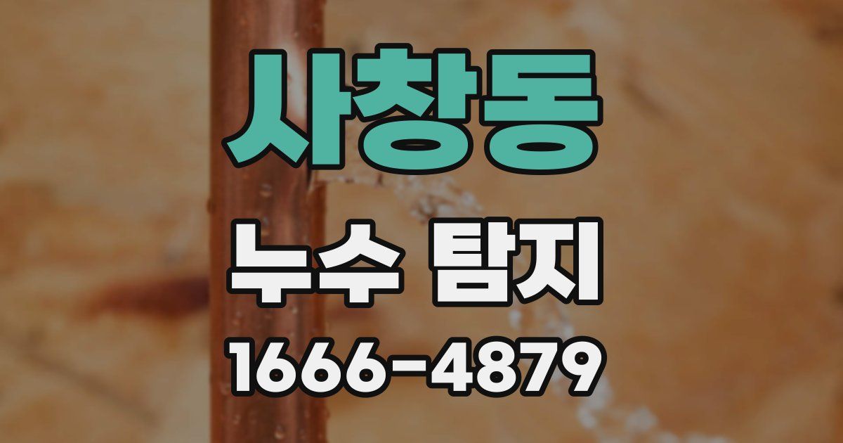 사창동 누수 탐지