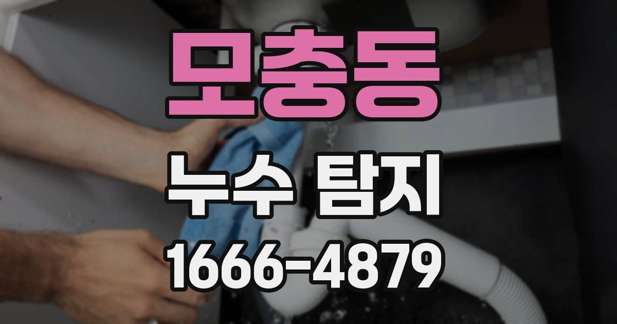 모충동 누수 탐지