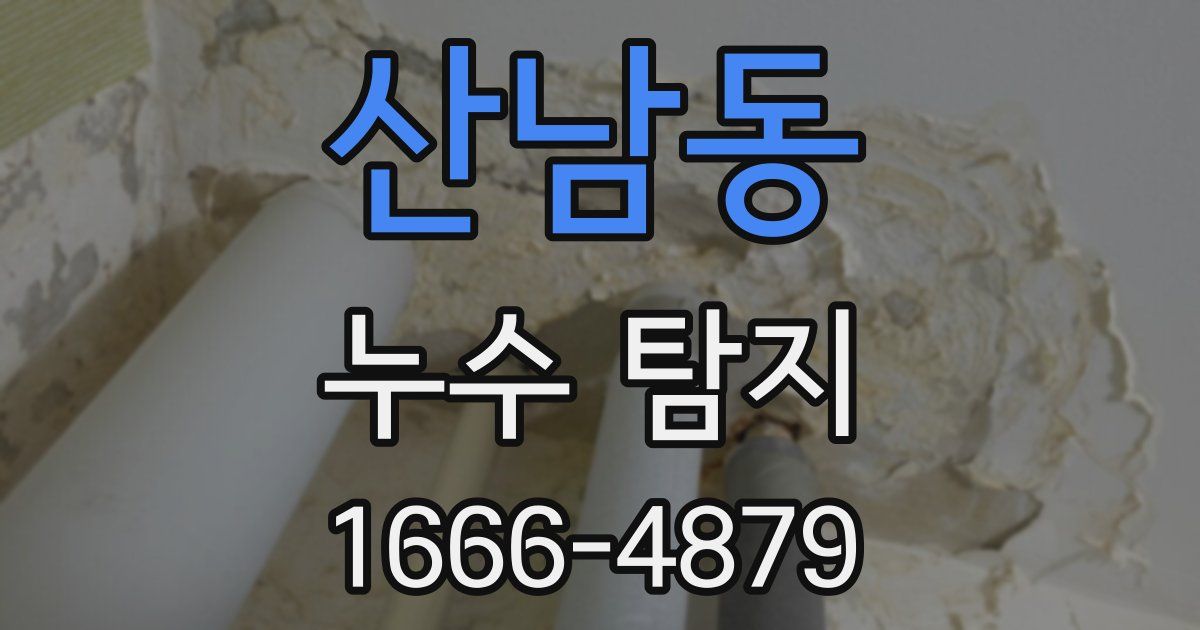 산남동 누수 탐지