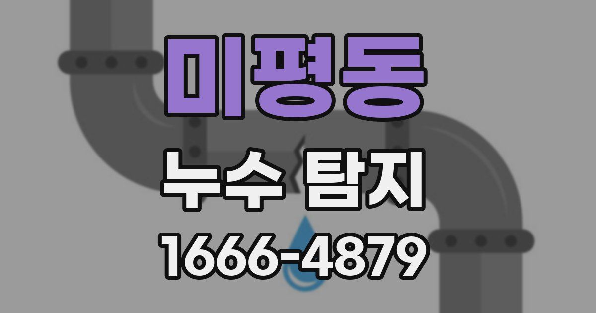 미평동 누수 탐지