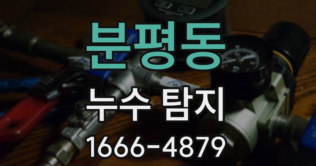분평동 누수 탐지