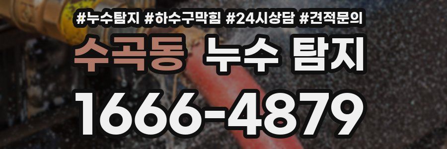 수곡동 누수 탐지