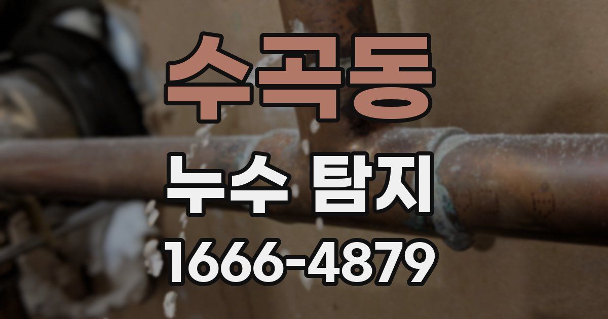 수곡동 누수 탐지