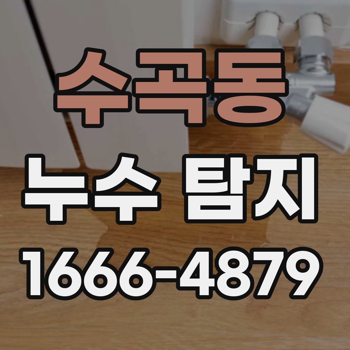 수곡동 누수 탐지