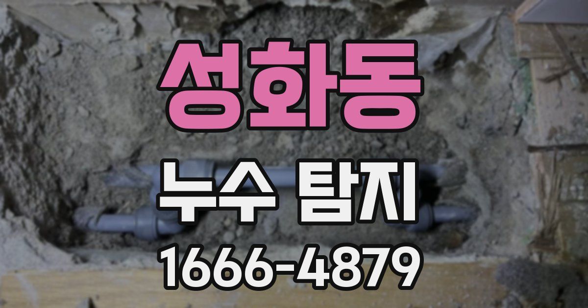 성화동 누수 탐지