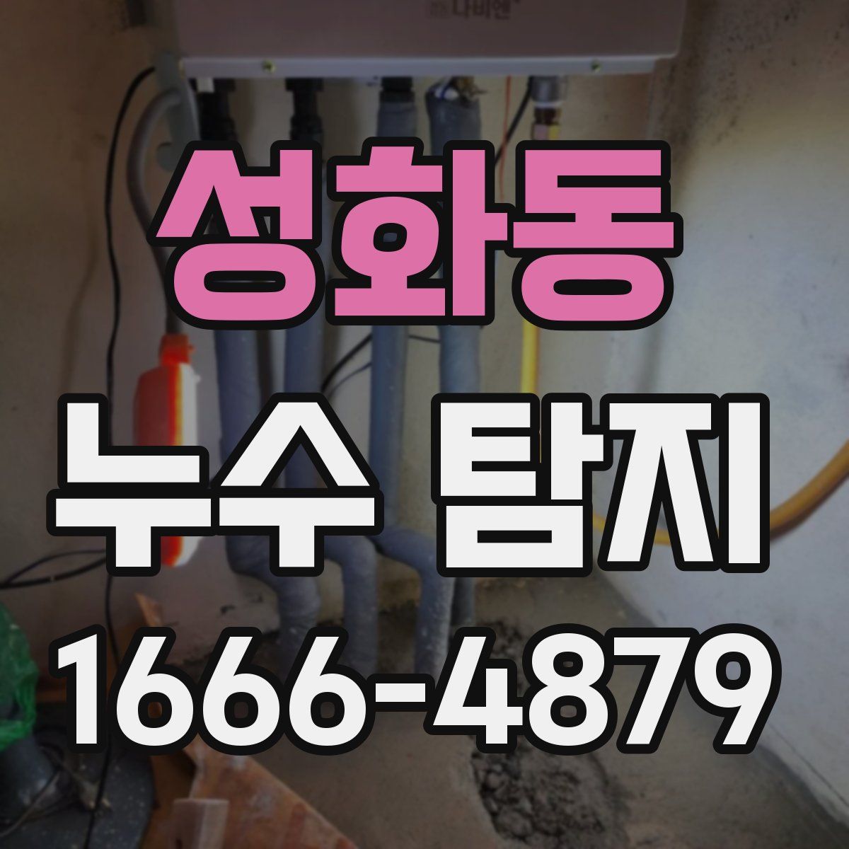 성화동 누수 탐지