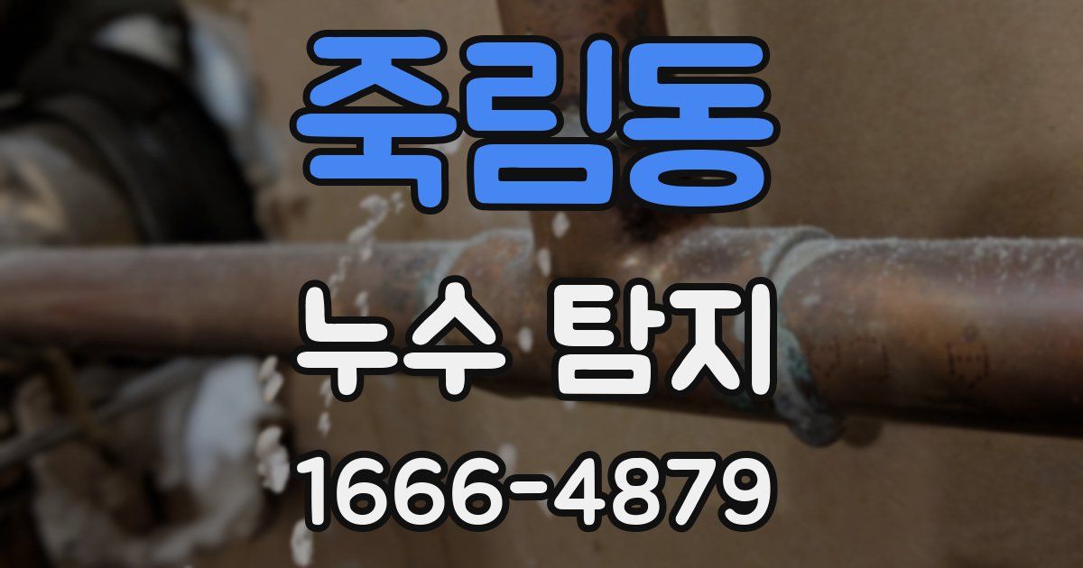 죽림동 누수 탐지