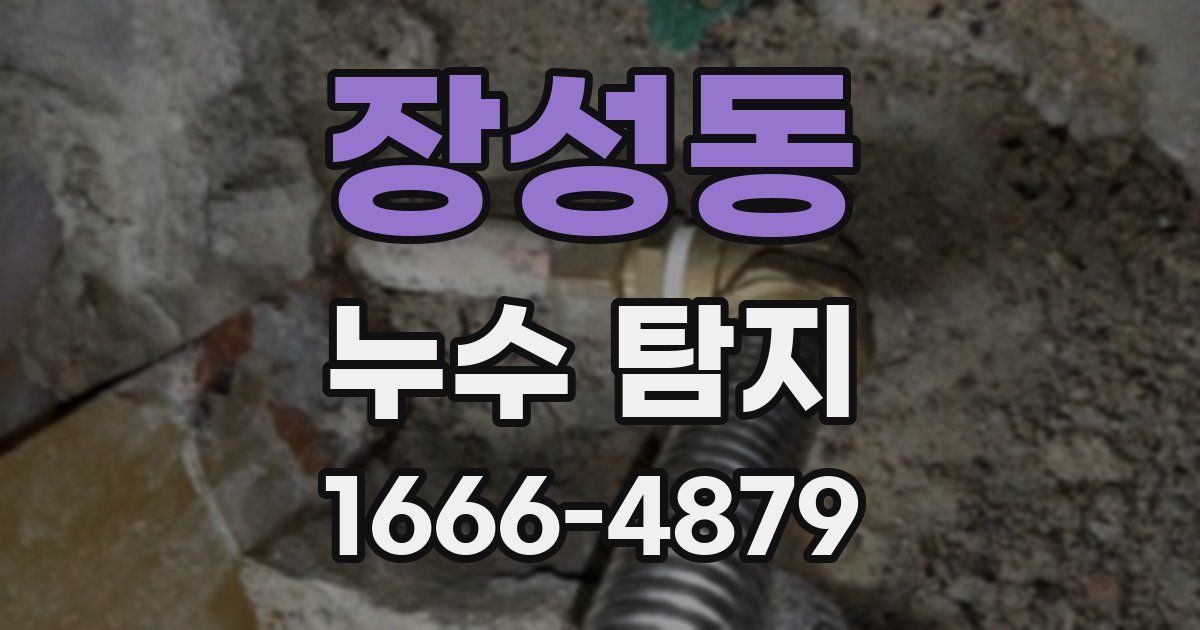 장성동 누수 탐지