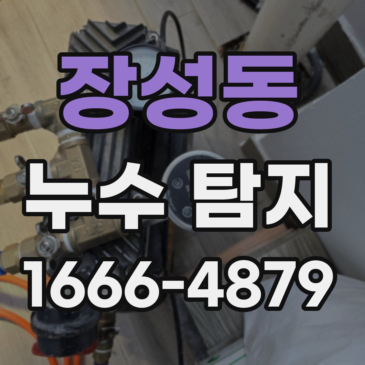 장성동 누수 탐지