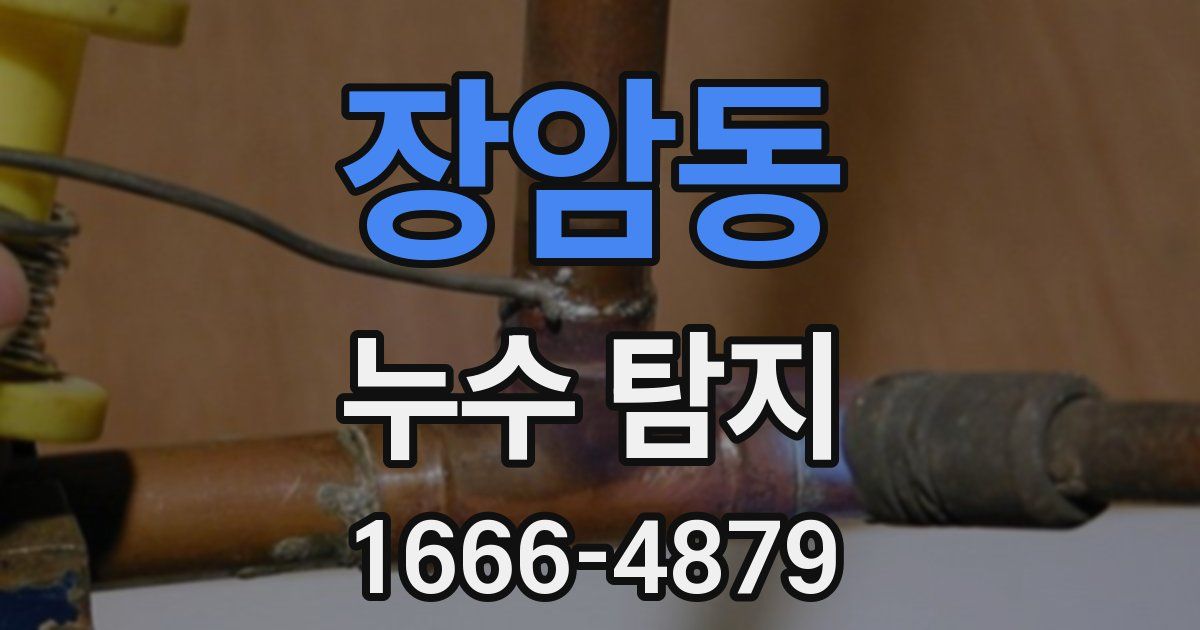 장암동 누수 탐지