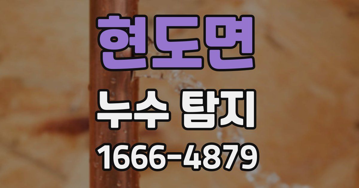 현도면 누수 탐지