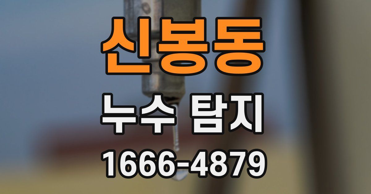 신봉동 누수 탐지