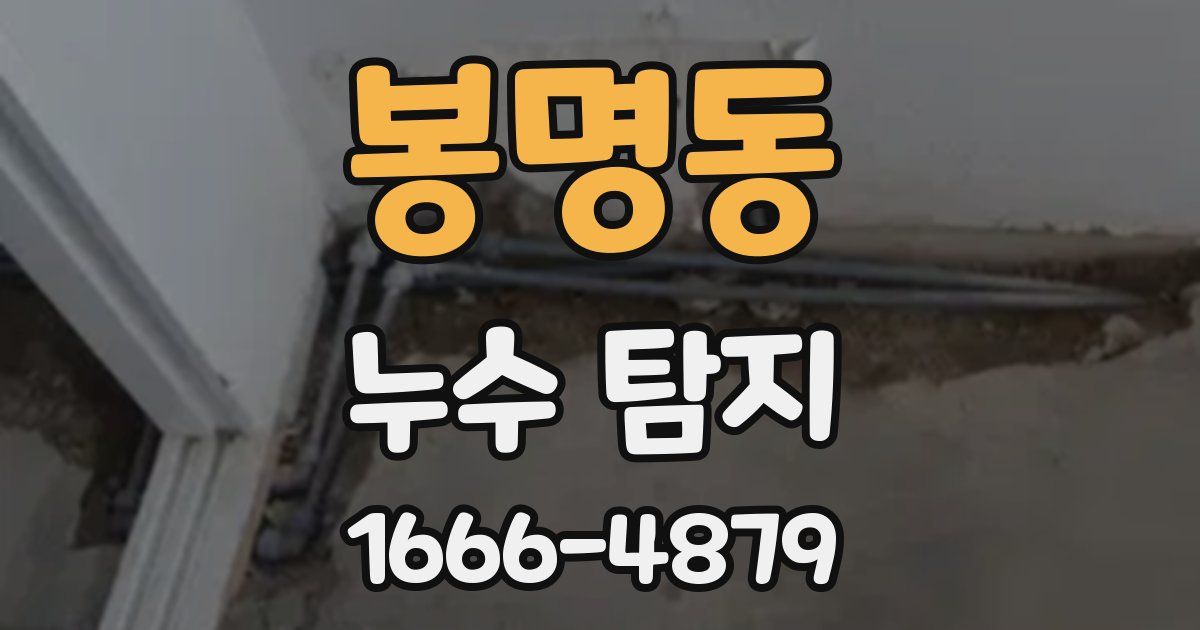 봉명동 누수 탐지