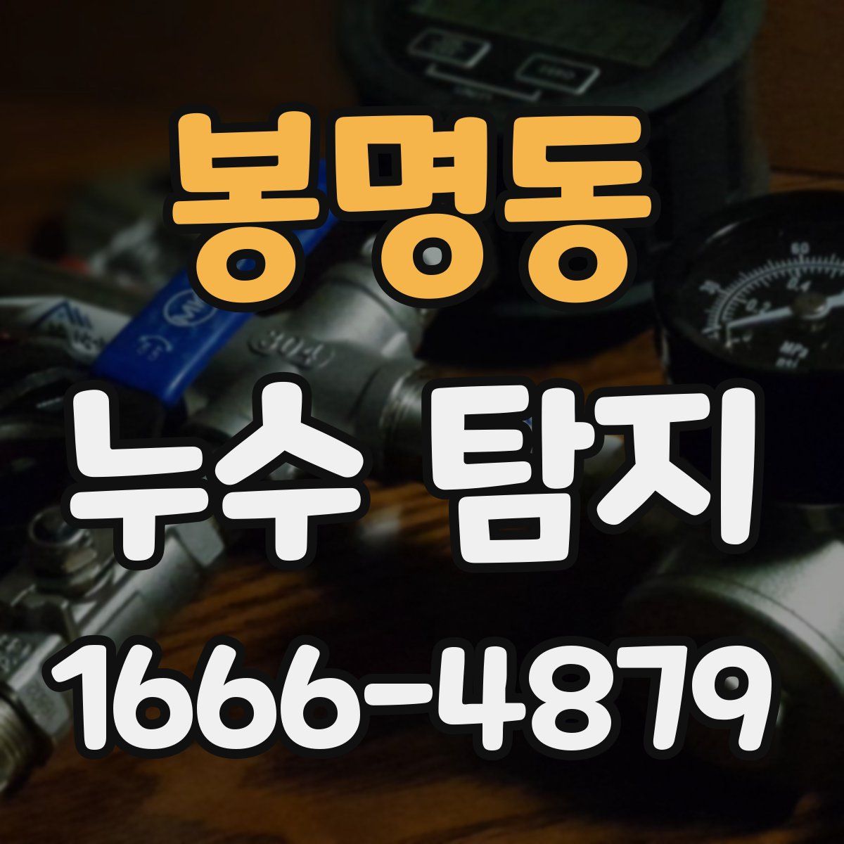 봉명동 누수 탐지