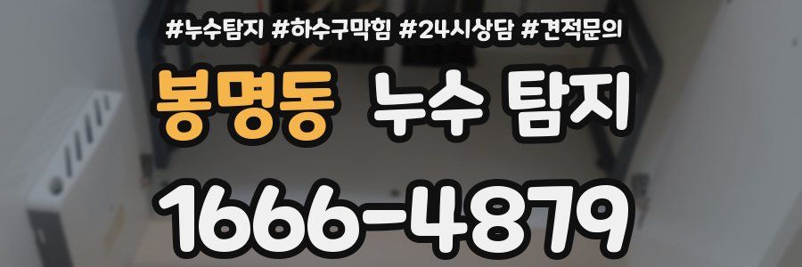 봉명동 누수 탐지