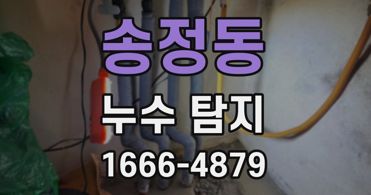송정동 누수 탐지