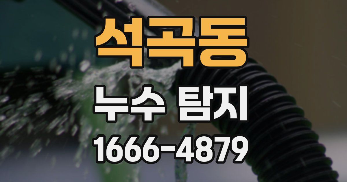 석곡동 누수 탐지