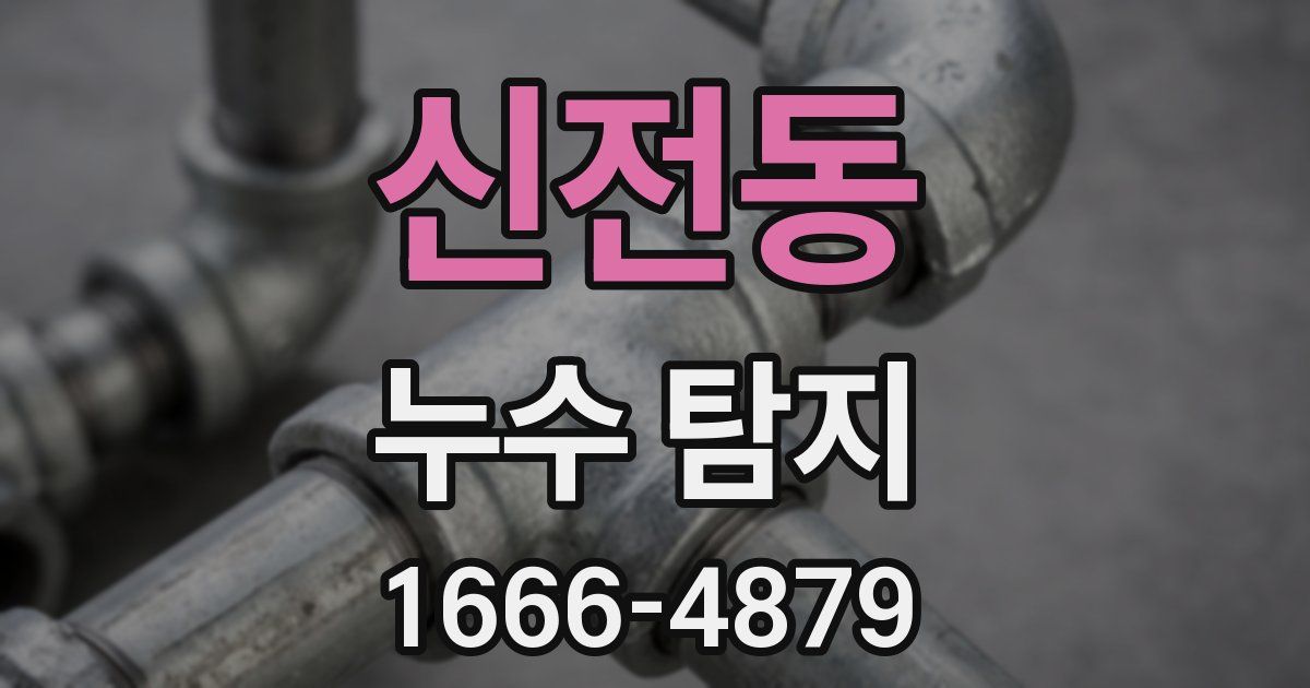 신전동 누수 탐지