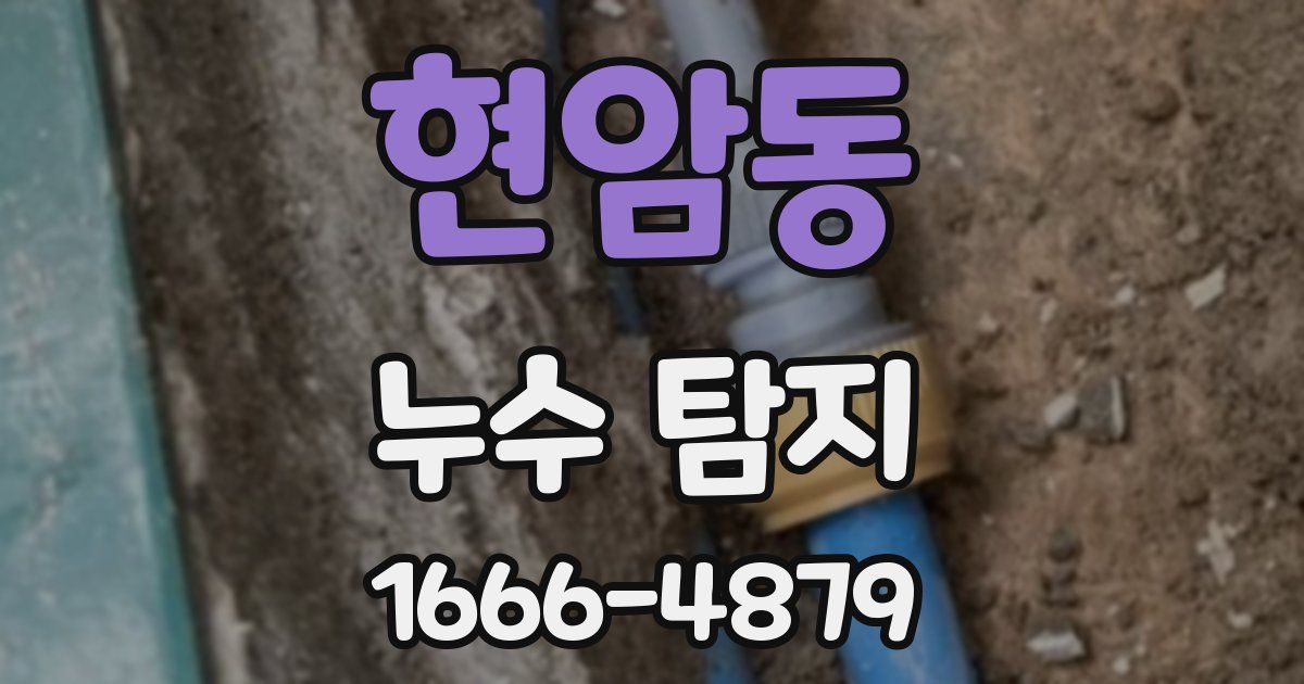 현암동 누수 탐지